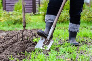 Man using a rake and shovel to disturb top soil