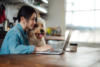 woman on computer with dog next to her
