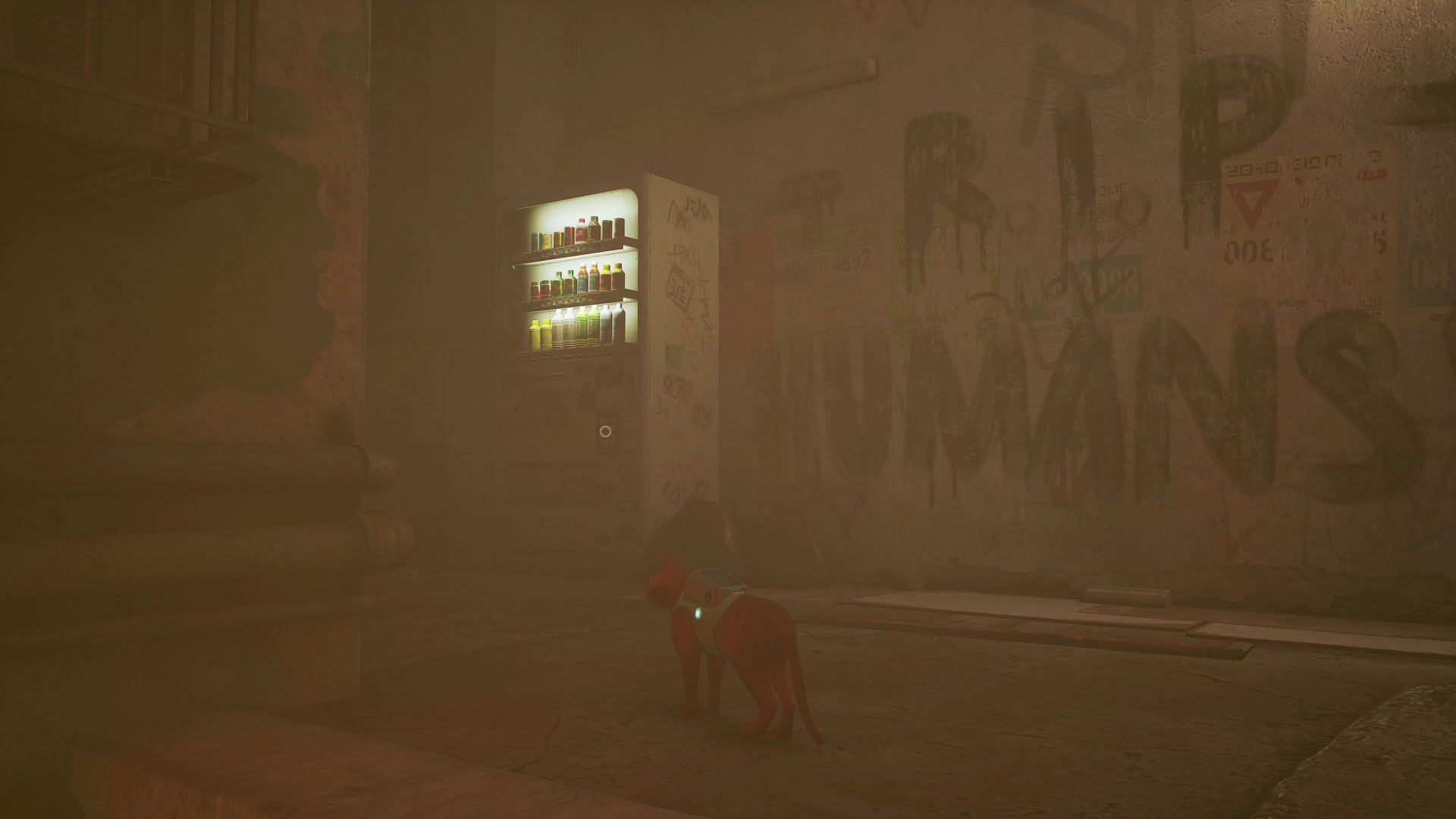 Stray energy drink locations