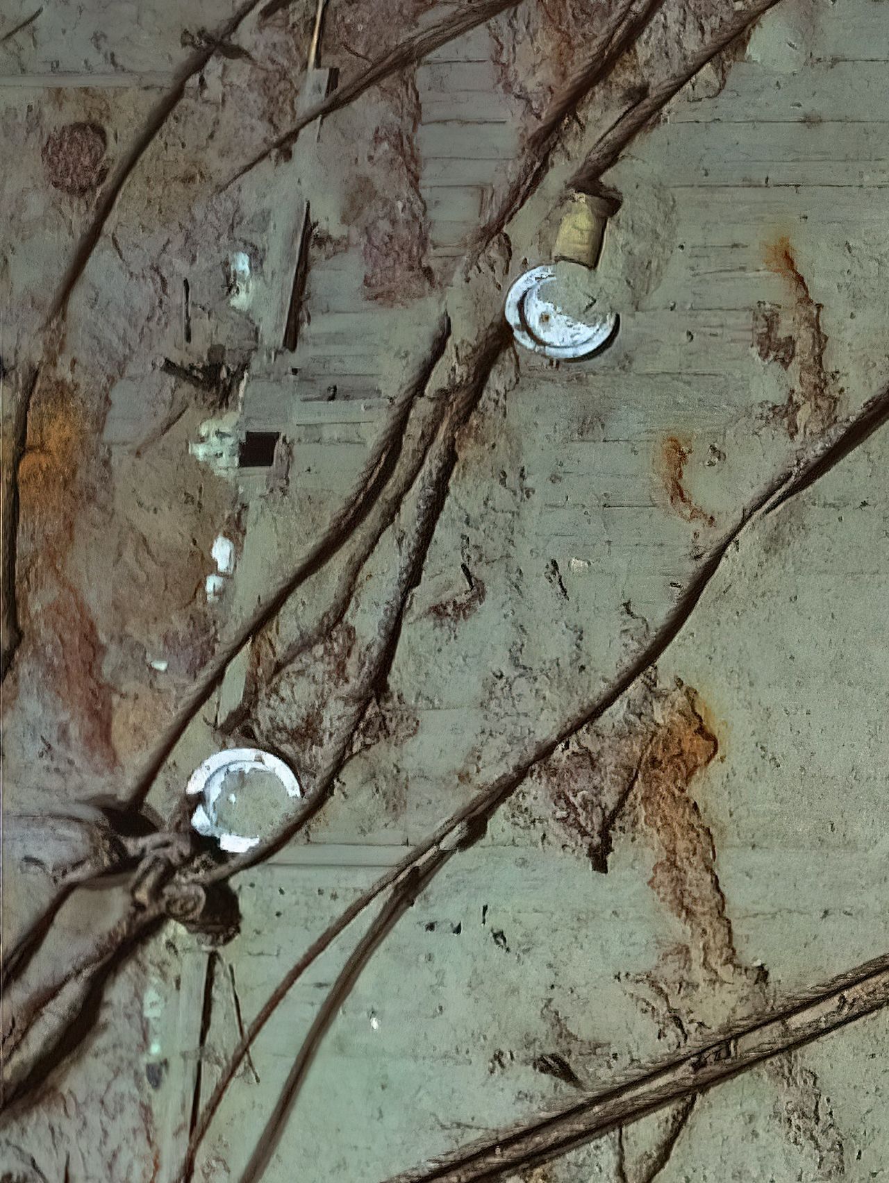 Photo of the deck of the Endurance wreck. Plates and ropes can be seen.