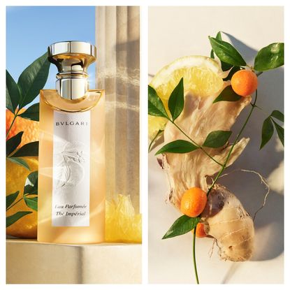 bulgari citrus fragrance