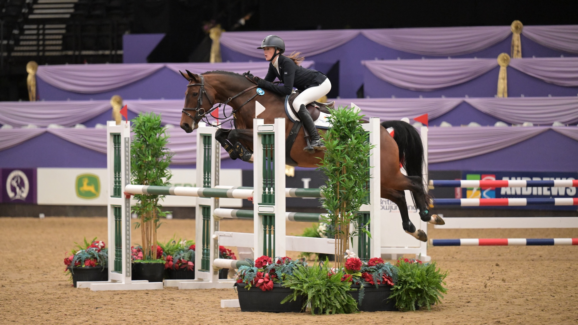 A rider and bay horse clear an oxer at HOYS