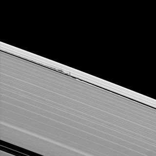 Cassini's view of Daphnis and the waves it creates in 2009 when the spacecraft was 414,000 miles from the moon.