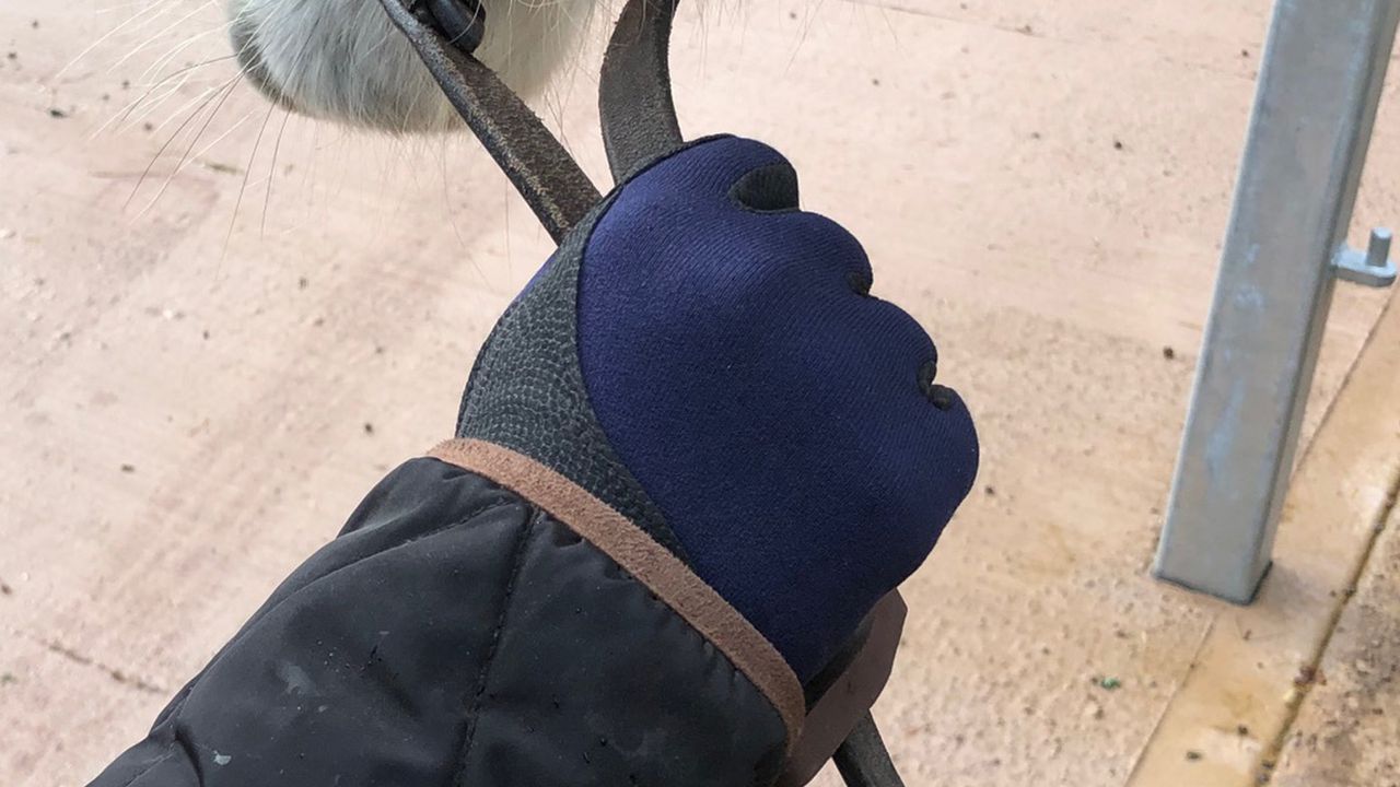 Woof Wear Precision thermal gloves