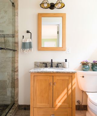 A white bathroom with a glass shower, a dual wall sconce with a wooden rectangular mirror underneath and a metal hook with a white and blue towel, a light wooden sink with a marble surface, and a white toilet with succulents on it