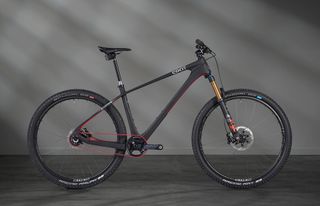 single speed hardtail mountain bike