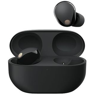 Sony WF-1000XM5 black earbuds square image
