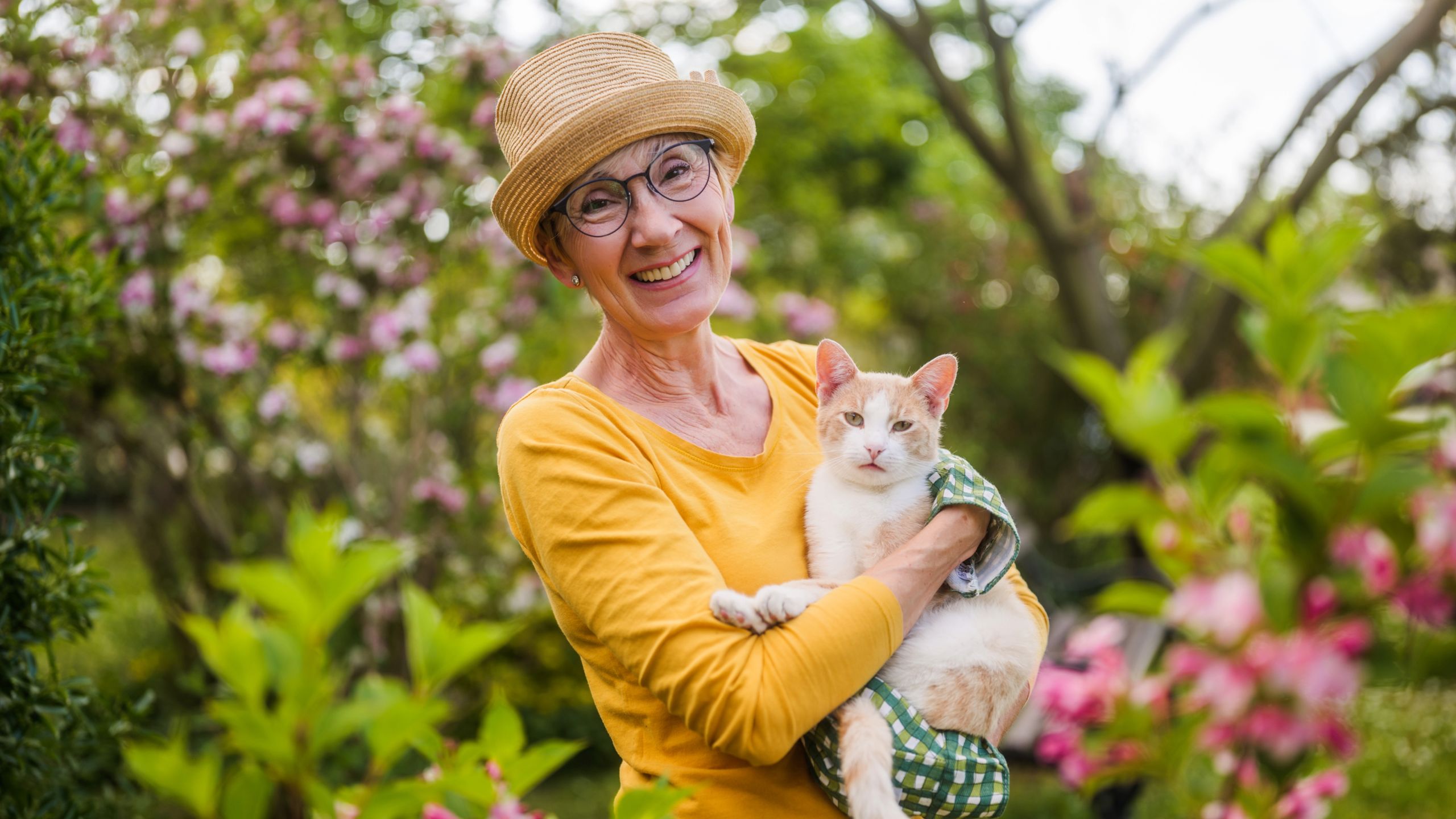 Pesit Owner What makes my heart melt as a pet owner every single time | PetsRadar