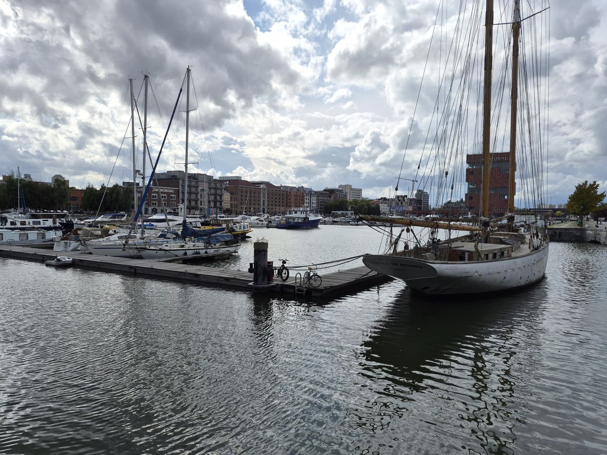 Samsung Galaxy S25 FE voorbeeldfoto