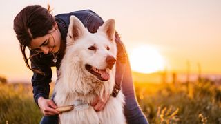 Woman brushing dog outside as sun sets behind them