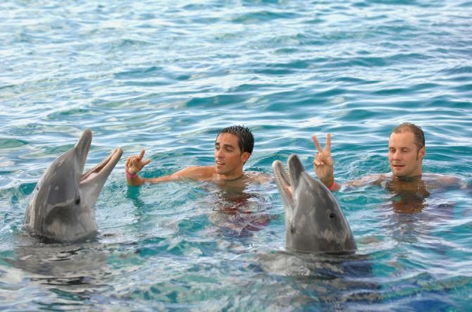 Alberto Contador and Tom Boonen teaching dolphin the peace sign