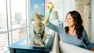 Woman playing with cat in apartment overlooking city