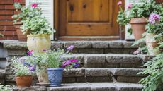 Plants in containers on steps outside a front door