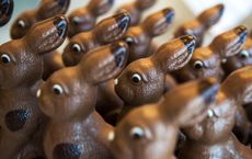 chocolate easter bunnies