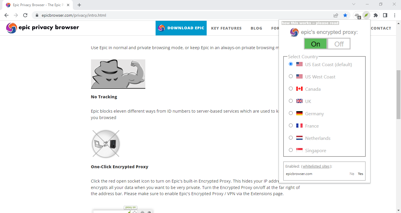Epic Browser review