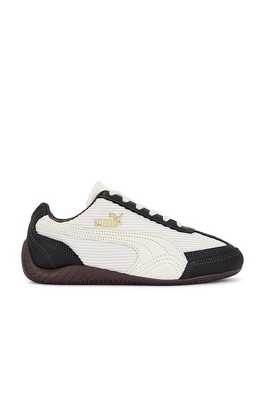 Speedcat Textile &amp;#24070;&amp;#24067;&amp;#38795;