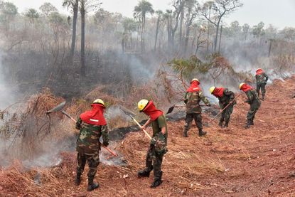 Brazilian firefighters in the Amazon