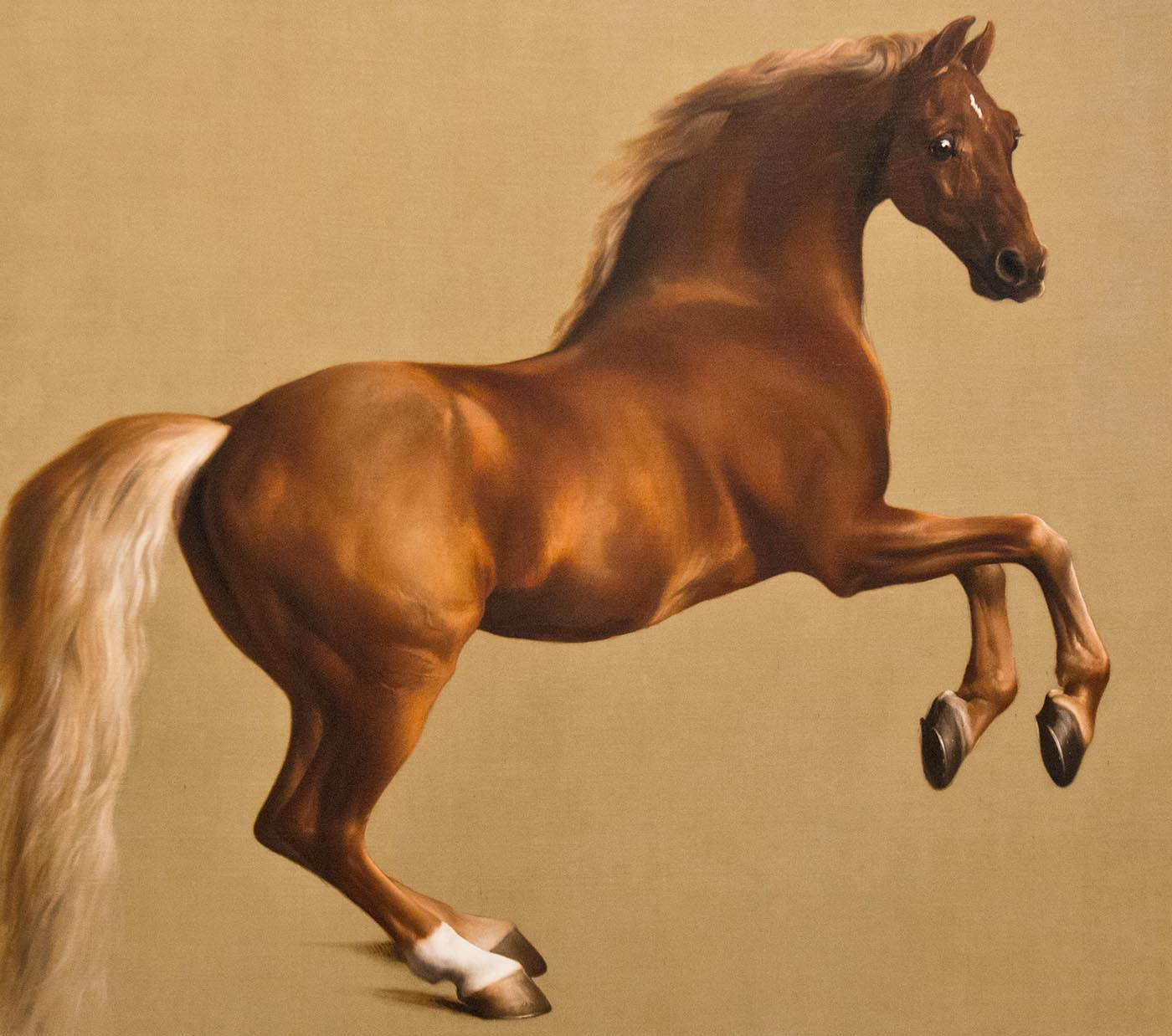The famous horse Whistlejacket painted by George Stubbs