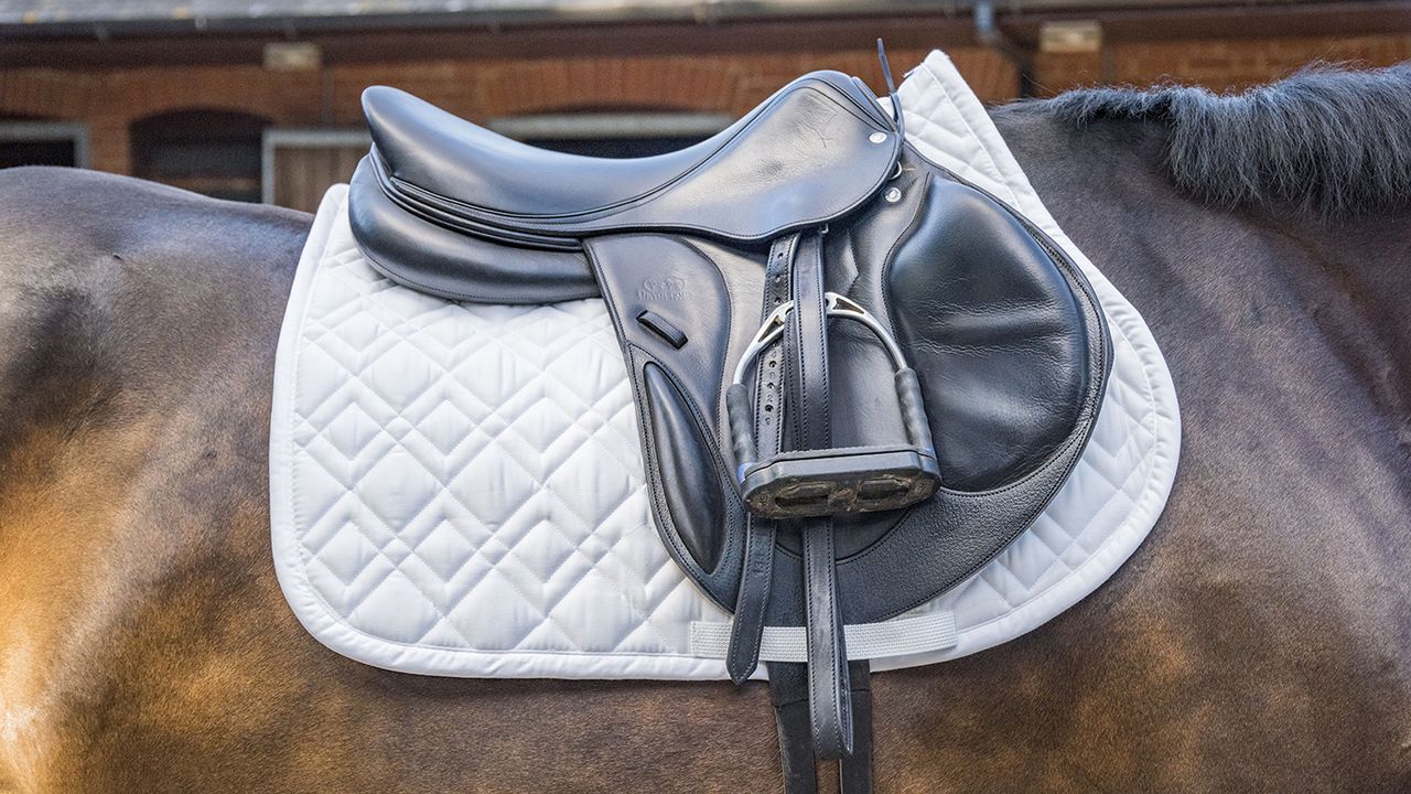 Eskadron Brilliant saddlecloth review