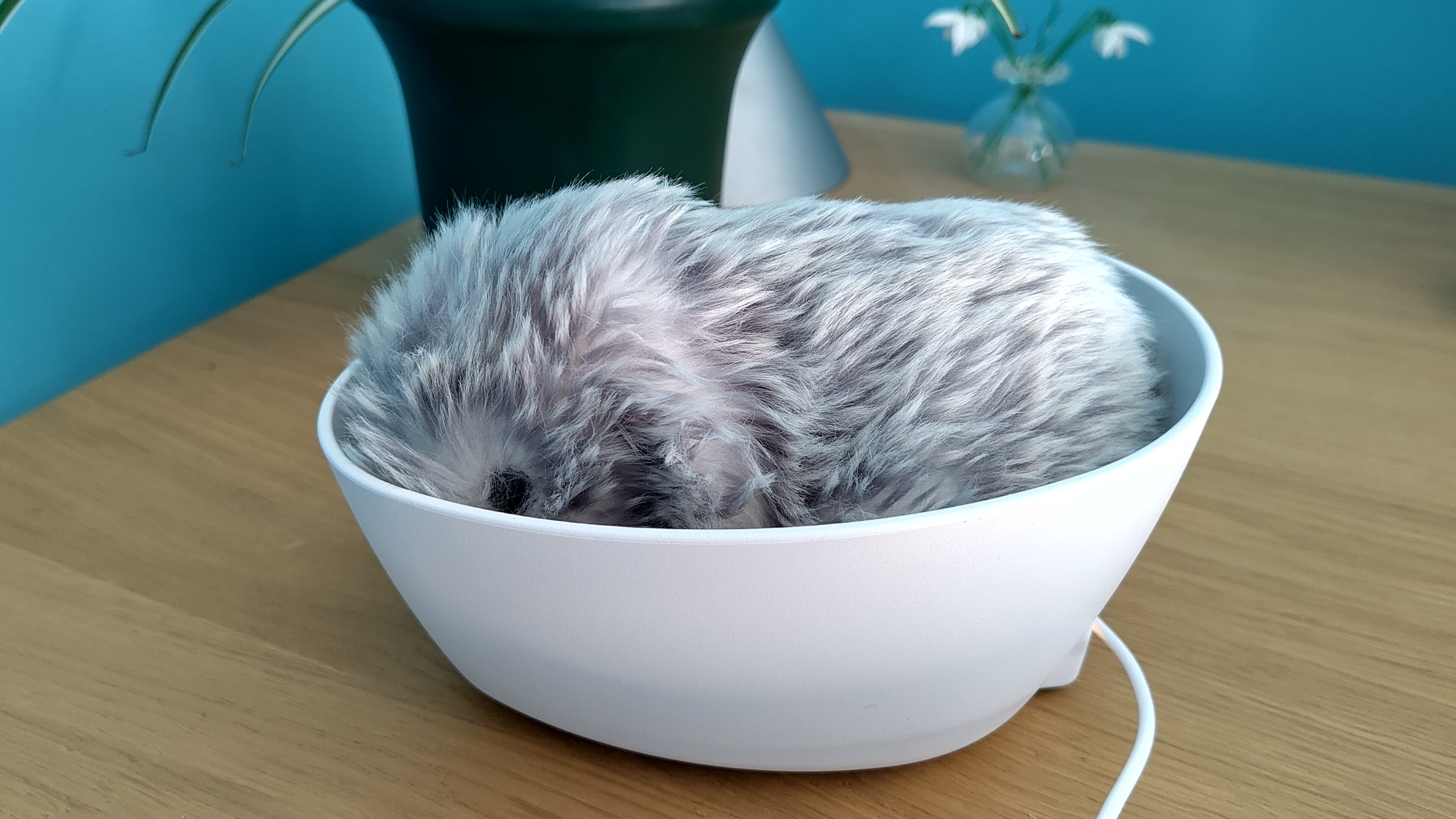 Moflin in charging cradle