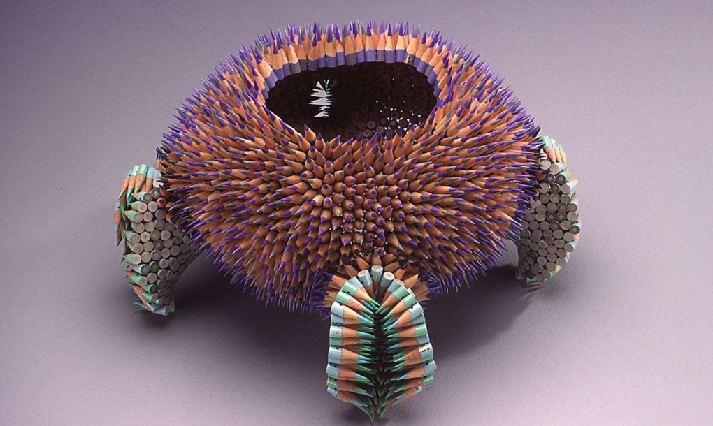 Maestre started exploring prickly objects at Mass College of Art