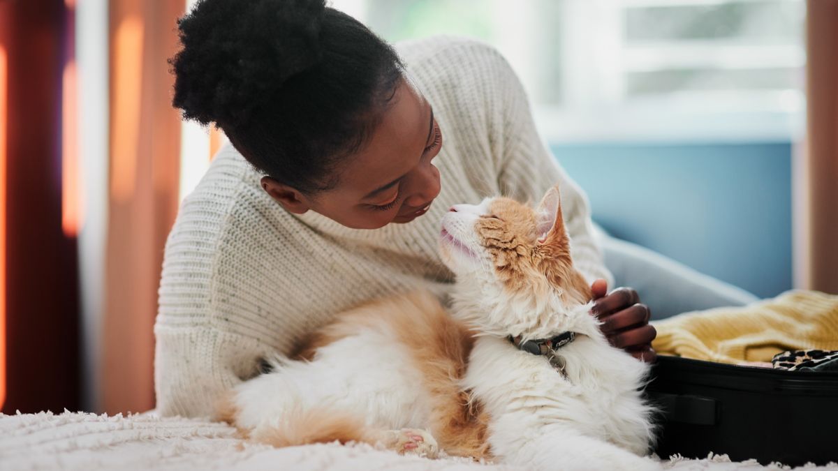 Five Ways To Show Your Cat You Love Them, According To A Feline ...