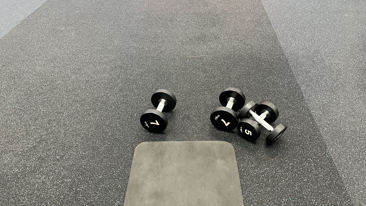 dumbbells in a gym