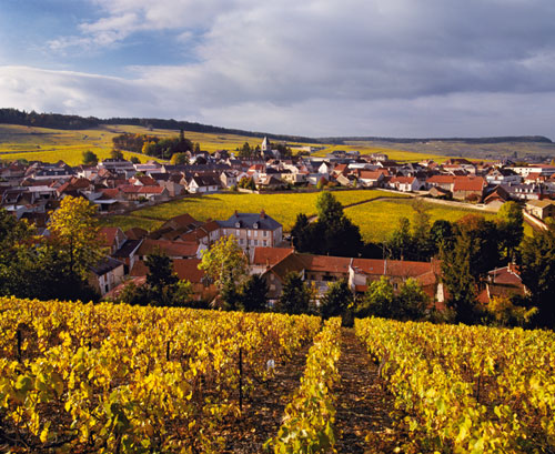 joy of terroir, terroir,