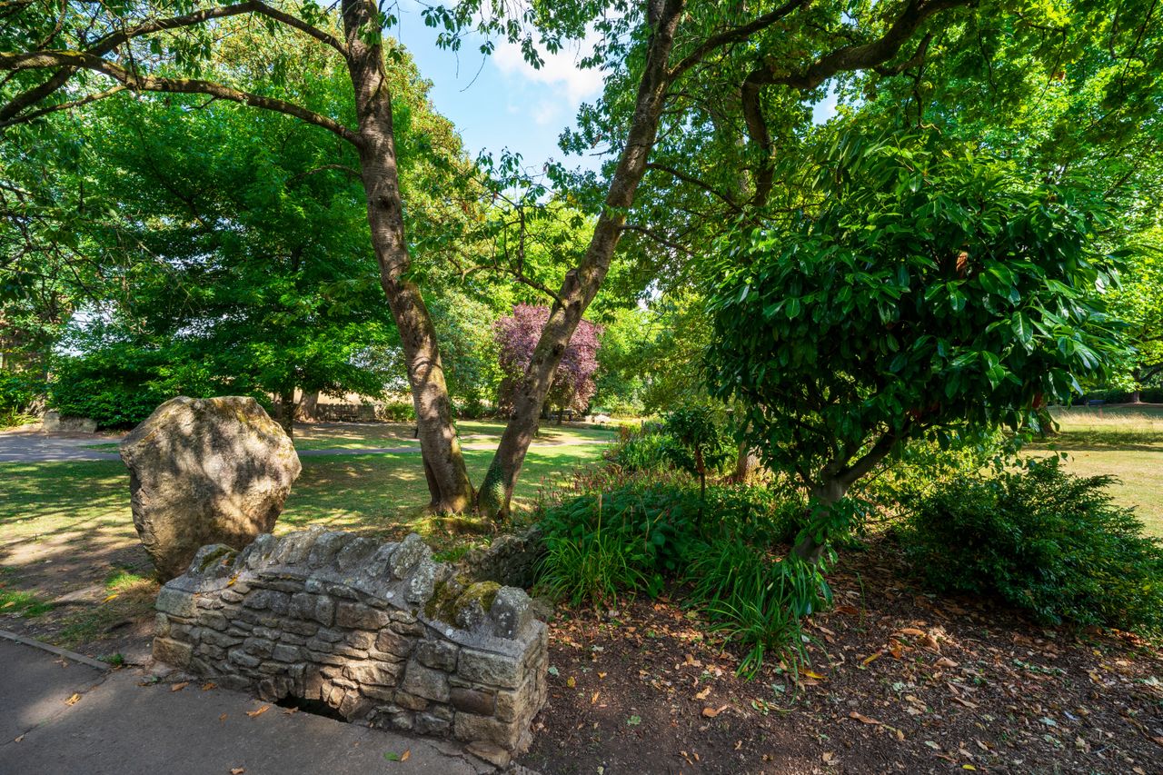 Viltrox AF 14mm f/4 Air example image
