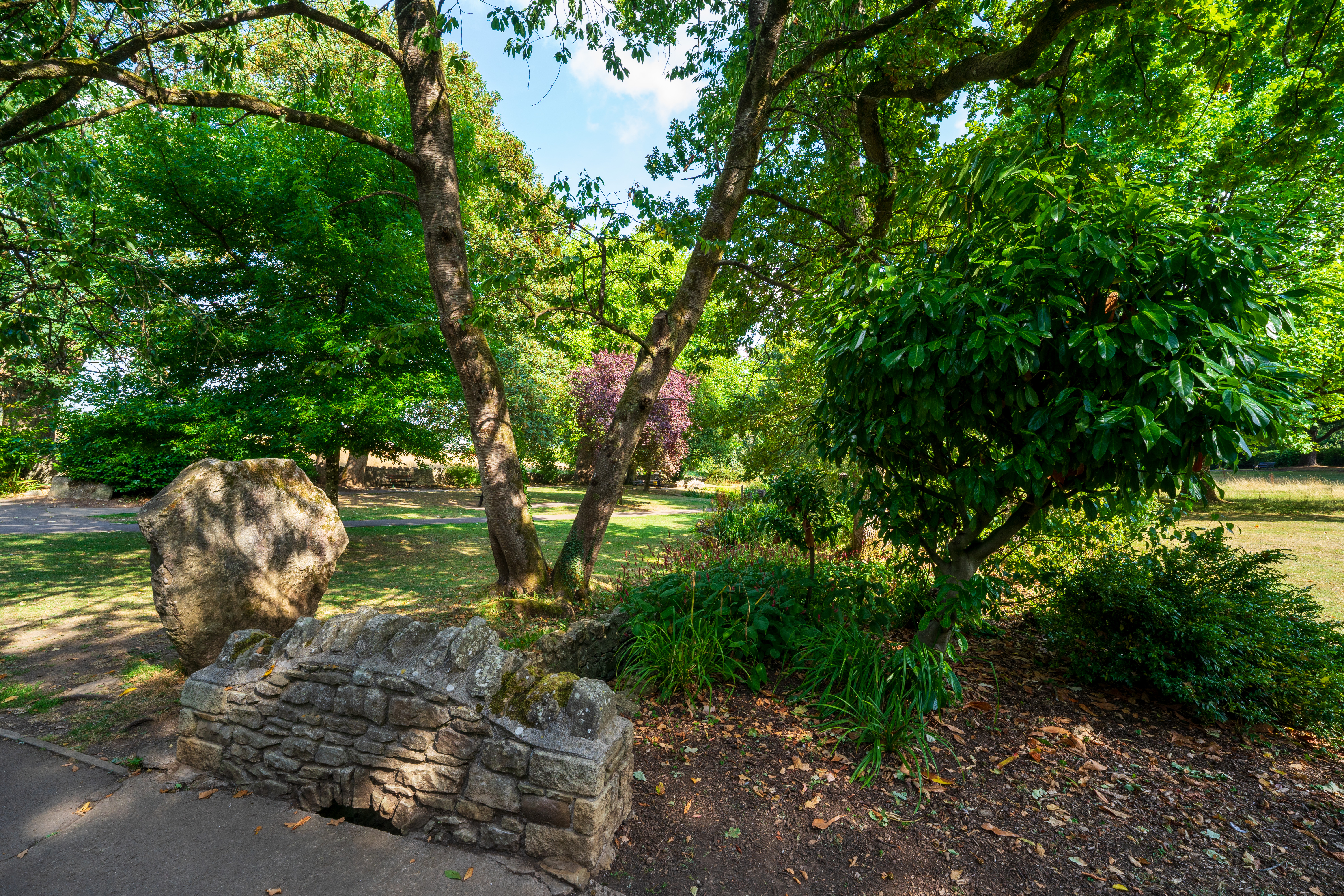 Viltrox AF 14mm f/4 Air example image