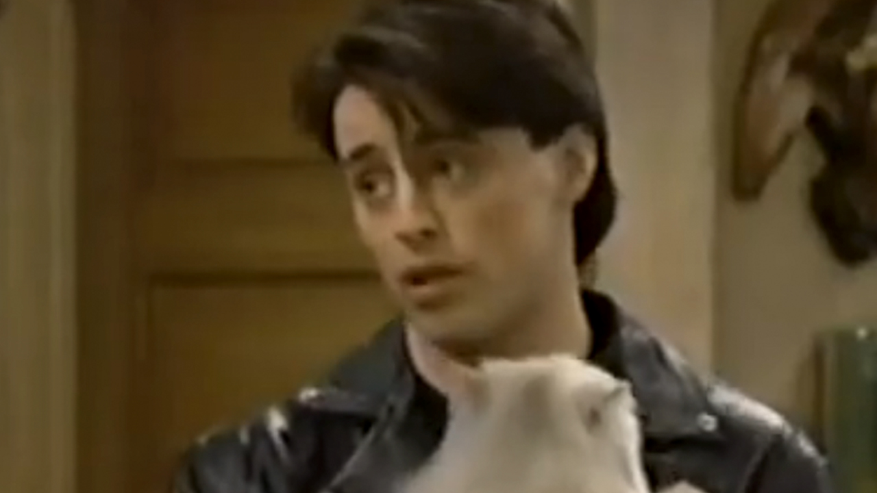 Matt LeBlanc in a leather jacket, holding a cat in Top Of The Heap