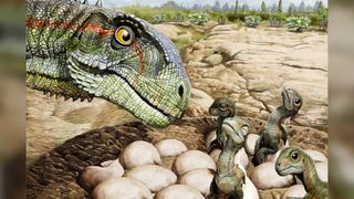 Artistic reconstruction of a nest of Mussaurus patagonicus with newborns and an adult parent.