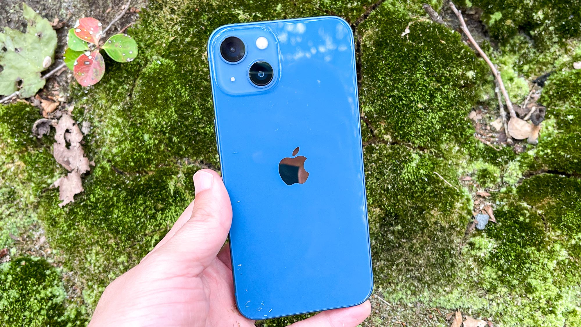 A blue iPhone 13 held in front of green foliage