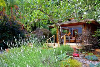 how to paint a shed