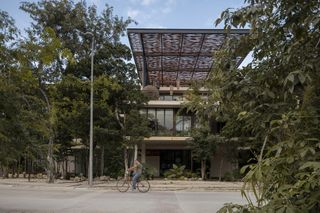 amelia tulum, a residential project in mexico where low volumes mix with greenery and mexican jungle