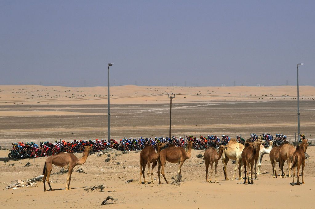 A classic photo from the UAE Tour