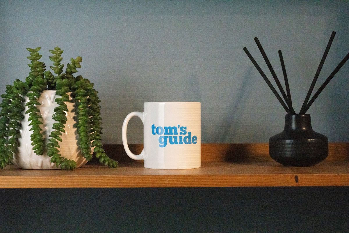 A photo of a Tom's Guide mug with a plant and scent diffuser on each side, demonstrating the ISO performance of the Sony A7CR
