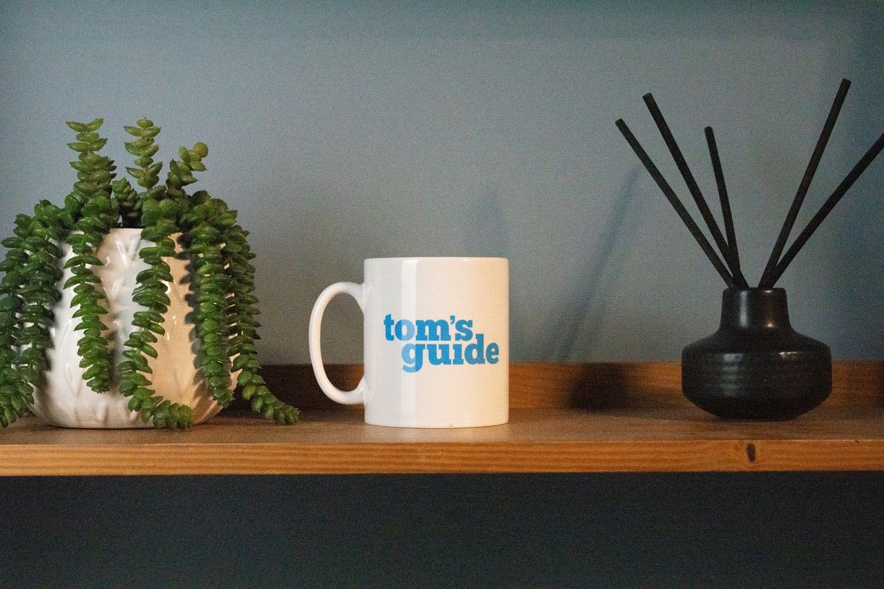 A photo of a Tom's Guide mug with a plant and scent diffuser on each side, demonstrating the ISO performance of the Sony A7CR