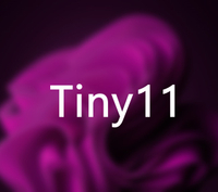 Tiny11 OS &nbsp;(Windows 11 | Archive.org