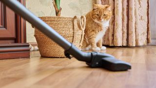 A vacuum cleaner on a hard floor with a cat in the background