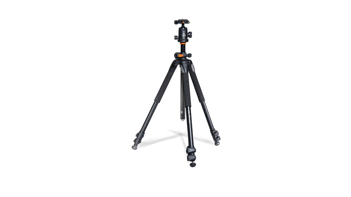 Image shows the Vanguard Alta Pro 263AB tripod against a white background.