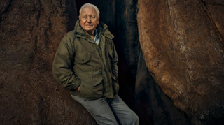 The Green Planet: David Attenborough relaxes against a giant sequoia tree in Costa Rica