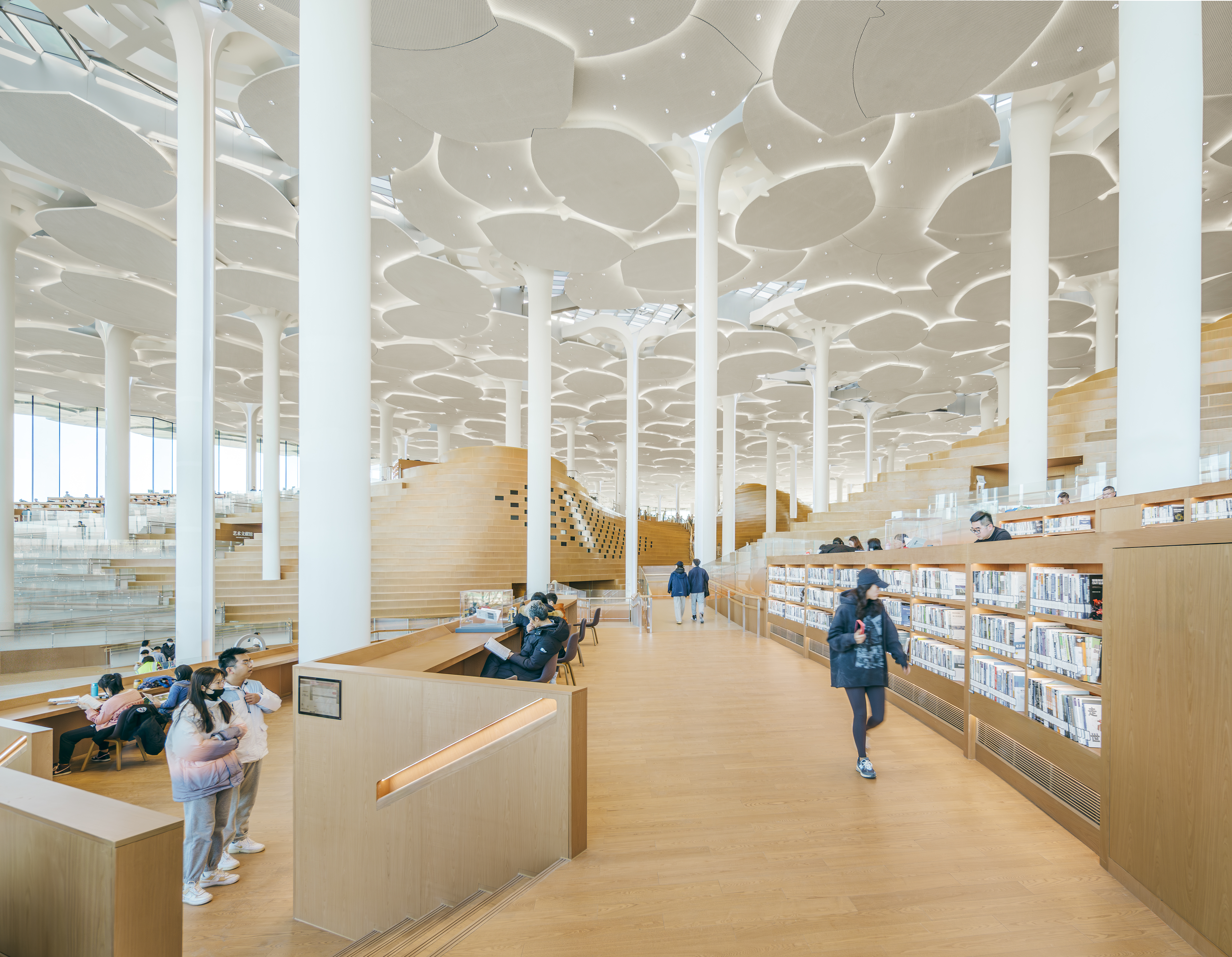 Library in Beijing