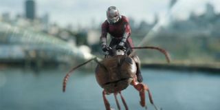 Ant-Man & The Wasp Scott Lang