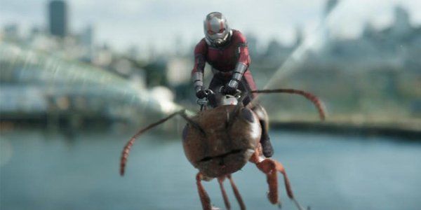 Ant-Man &amp; The Wasp Scott Lang