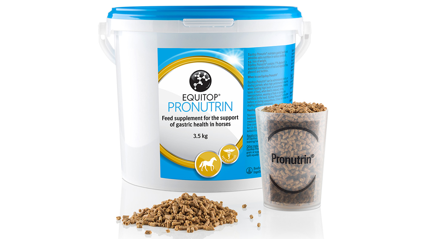 Equitop Pronutrin gastric supplement for horses