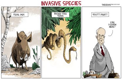 Political cartoon U.S. Scott Pruitt EPA invasive species