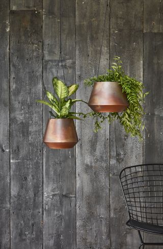 hanging plants in copper pots with wood clad wall backdrop by Ivyline