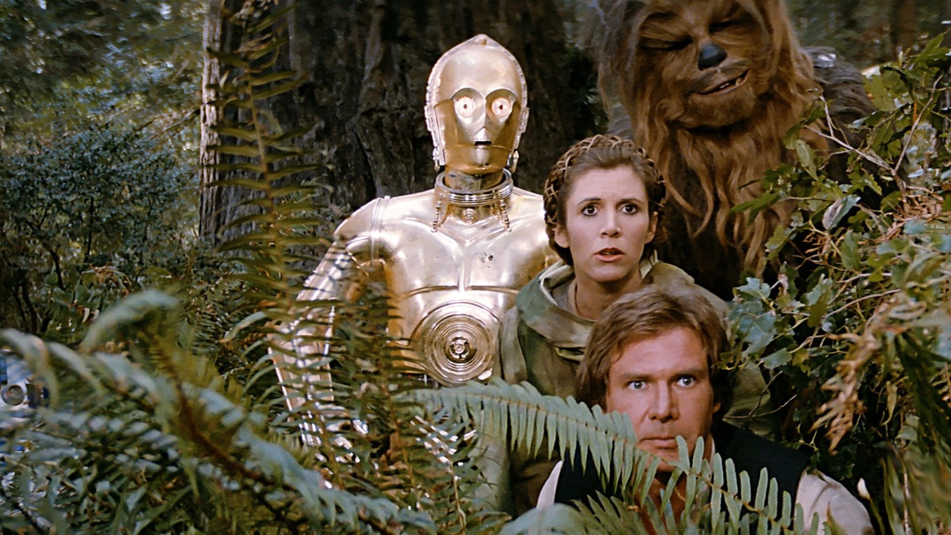 C-3PO, Leia, Han y Chewbacca en Star Wars: El retorno del Jedi