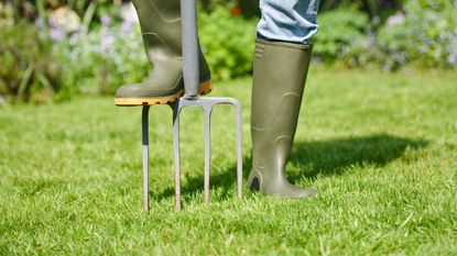 how to aerate a lawn with a garden fork